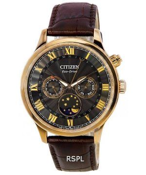 Citizen Eco-Drive månfas multifunktionssvart urtavla AP1059-19E herrklocka